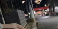 10.3北湖捡到一只灰色小猫