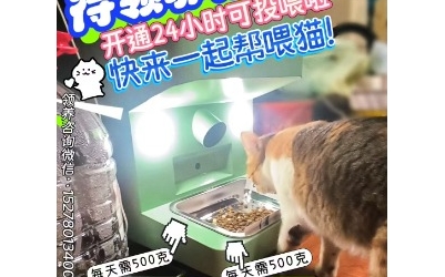 我们的猫宿舍开通24小时投喂猫咪了！