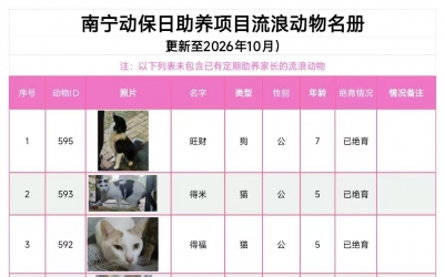 截至2026年10月的基地待助养小动物情况一览