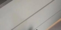 10.20西乡塘江北大道走失一只黑棕色狗狗