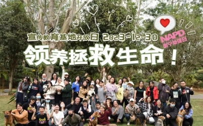 【10月期基地开放日】您愿意给流浪毛孩子们半天快乐吗？