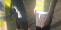 10.15青环路附近捡到巨型黑棕色狗狗