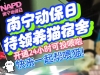 在线云喂猫猫