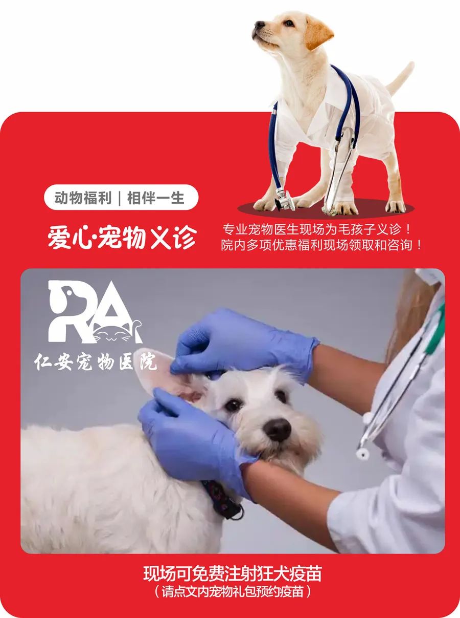 cda1c3208c138c6965673ea8186e7141.jpeg