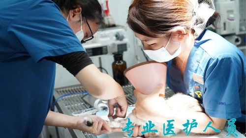 tmp_img_info_b69aaf3d-1e5e-4cb9-8c21-d16e144a5d7c.jpg