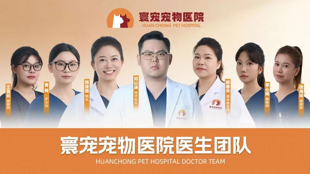 微信图片_20261029193326_752_2.jpg